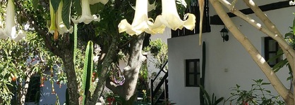 El Albergue Ollantaytambo