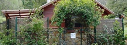 Forget Me Not Cottages