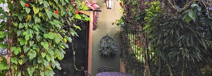 Casas Del Toro Monteverde