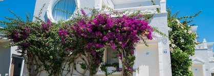 Art Suites Hotel Bodrum