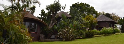 Fish Eagle Manor