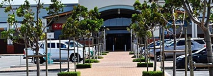 The Mandyville Jeffreys Bay