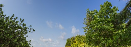 Ahg Dorado Cottage
