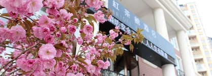 Bridal Tea House Hotel Yantai Laishan