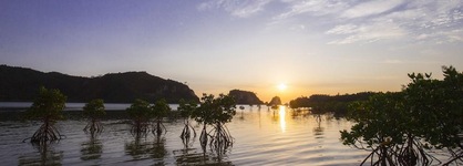 Iriomote Hotel By Hoshino Resorts