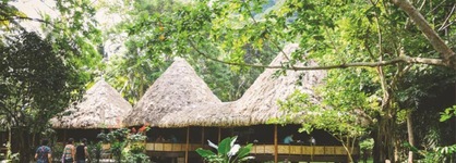 Barefoot At Havelock