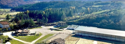 Hotel Pinguino