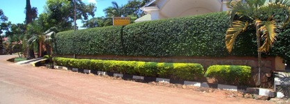 Executive Airport Hotel