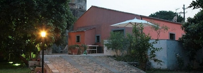 Galea