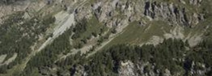 Hotel Cervo Sils