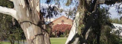 Serafino Mclaren Vale