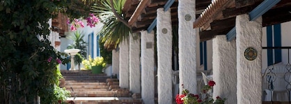 Xenium Village