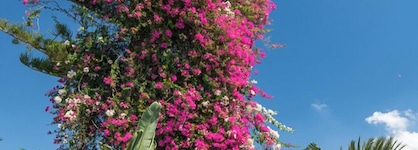 Le Hammamet Hotel & Spa