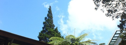Puncak Pass Resort