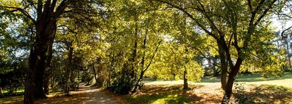 Le Domaine De Montjoie Bw Premier Collection