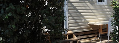 Camping International