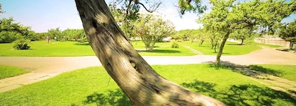 Villaggio Dei Pini