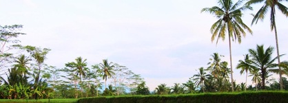 Alam Dania Cottage