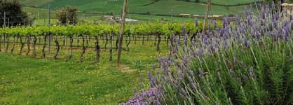 Casale Poggio Nebbia