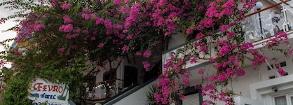Fevro Hotel