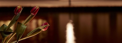 Domus Renier Boutique Hotel, Member Of Domus Elegance Collection