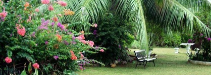 Castaway Lodge