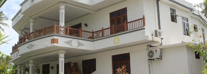 New Lion Palace