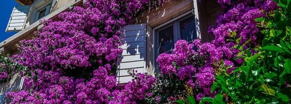 Hotel Lemongarden