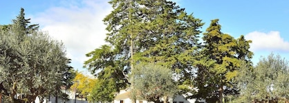 Aires Da Serra Hotel
