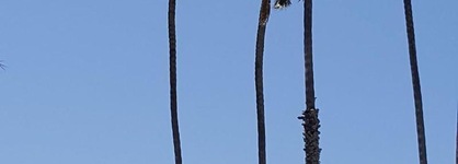 Pacific Crest Hotel Santa Barbara