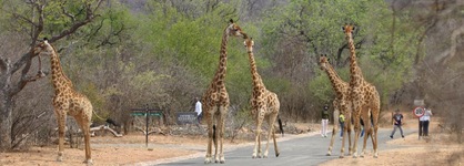 Unembeza Boutique Lodge & Spa