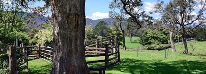 The Laurels B&B Kangaroo Valley