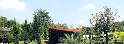 Ashcarya Boutique Resort