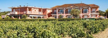 Grapevines Hotel