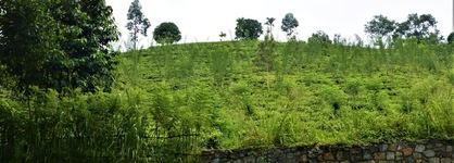 Santani Wellness Resort & Spa