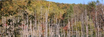 Furano Shiyuirin
