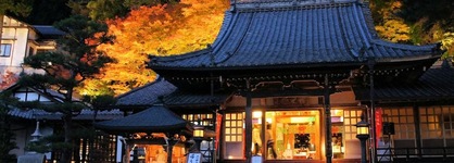 Ooedo Onsen Monogatari Premium Gero Honkan