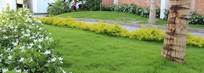 Volga Hotel Mui Ne