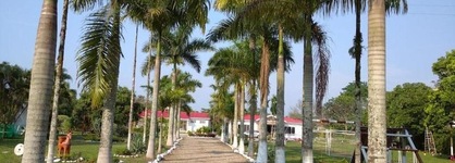 Hotel Rosalinda Campestre Del Llano