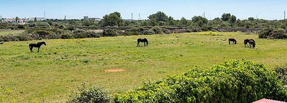 Casas Menorquinas
