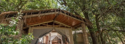 Fig Tree Camp