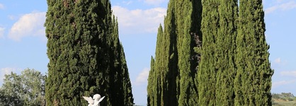 Villa Albertina