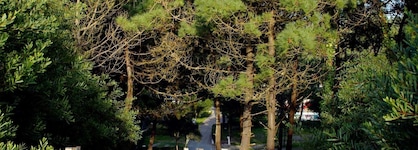 Parque De Campismo Orbitur Viana Do Castelo