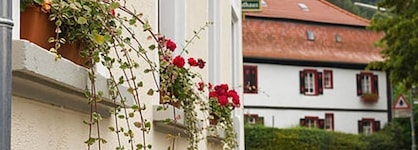 Hotel Ari