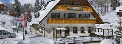 Hotel Höhengasthof Grüner Baum
