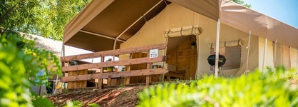 Sunflower Camping