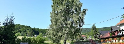 Pansion Breza