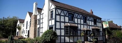 The Green Man