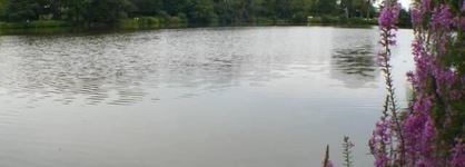 Walden On The Pond Hotel