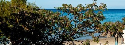 Sea Sight Studios